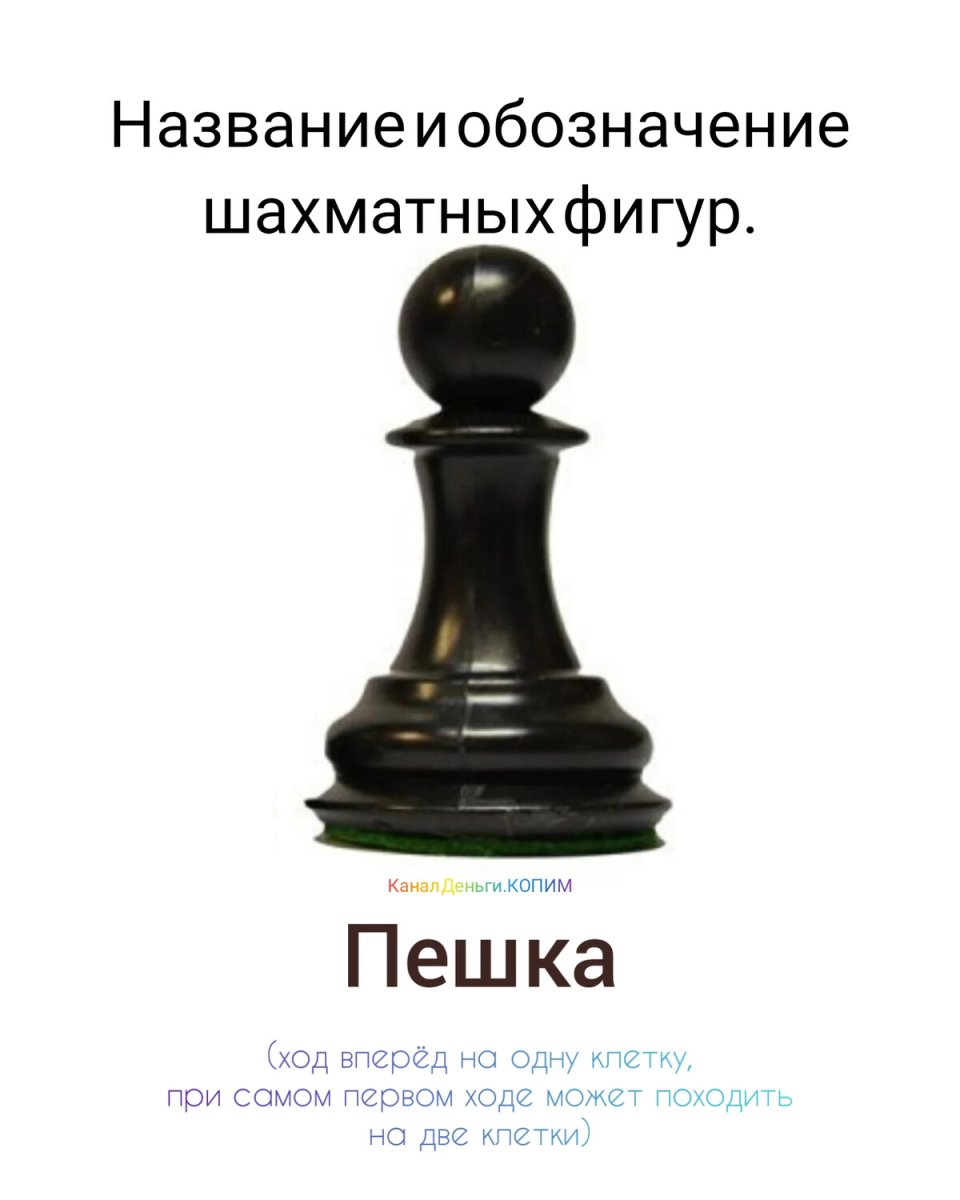 Название фигур в шахматах с фото