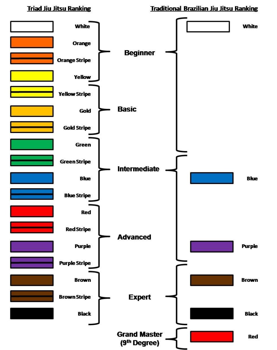 Классификация поясов в джиу джитсу
