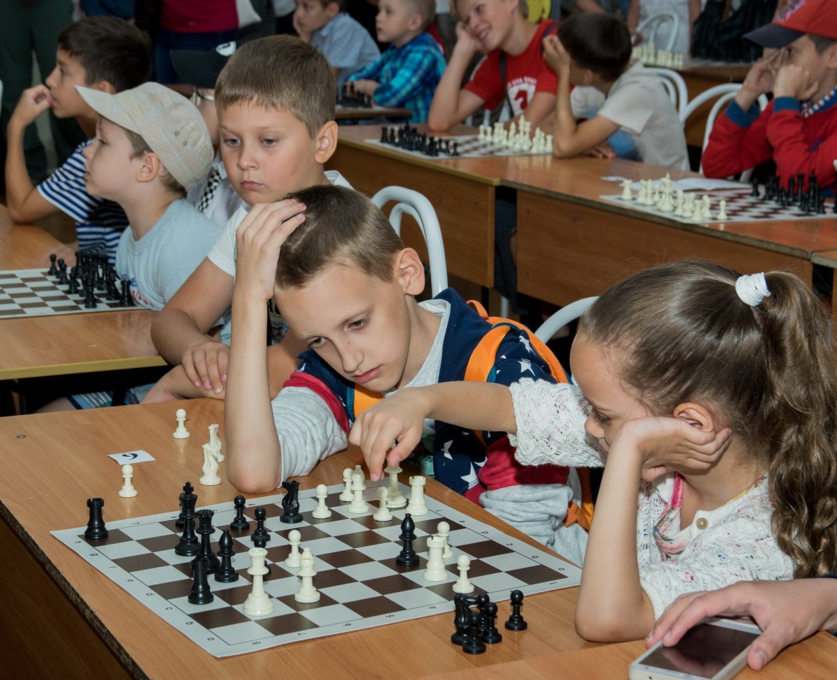 Маэстро шахматы Новосибирск