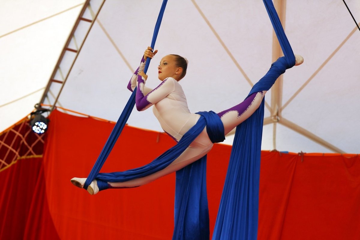 Воздушные гимнасты в цирке