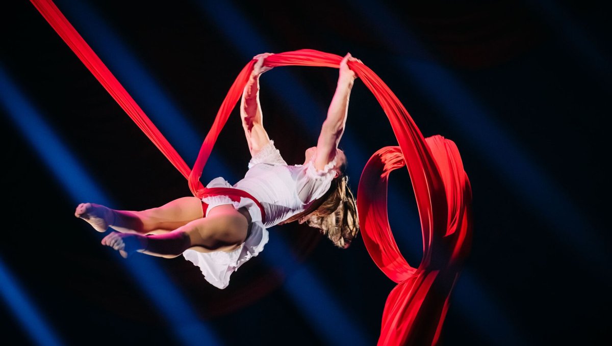 Елена Кустова воздушная гимнастка