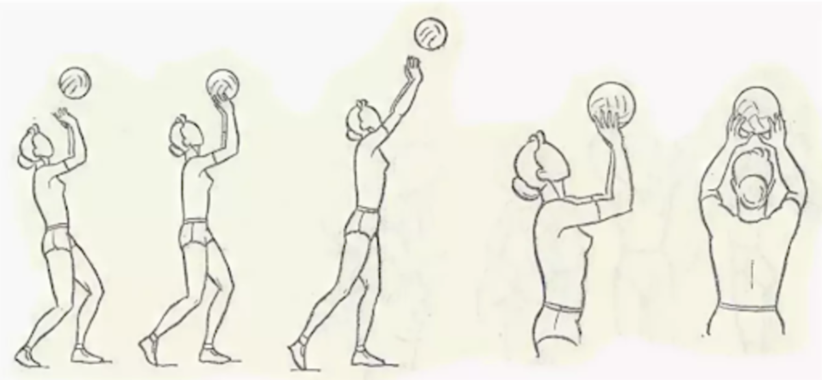 Передача мяча 2 руками сверху в волейболе