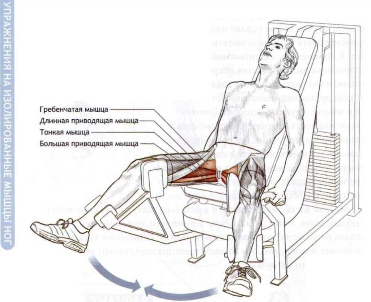 Сведение бедер в тренажере сидя
