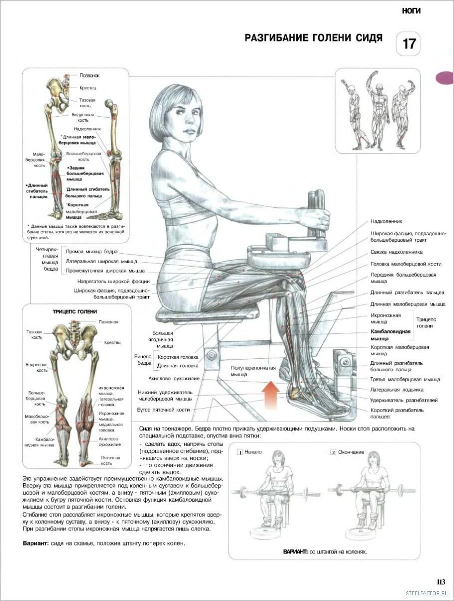Тренажер для накачки мышц ног чертеж