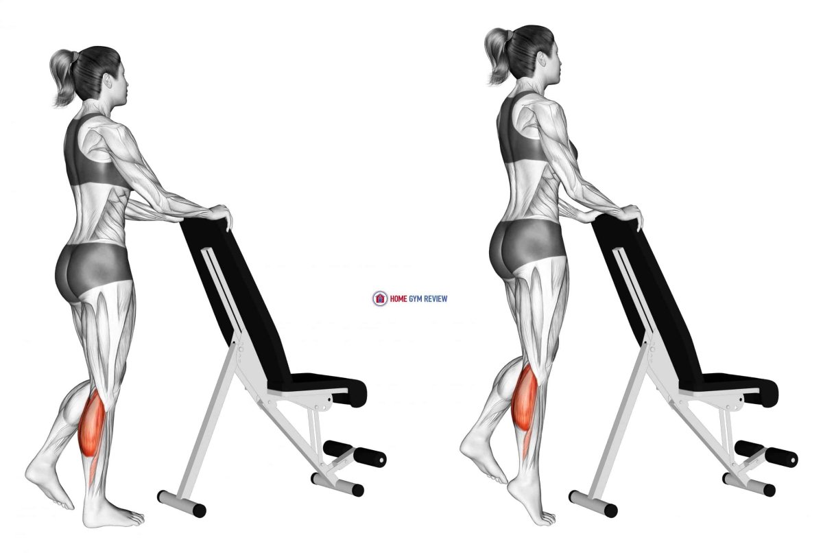 Single Leg Calf raises