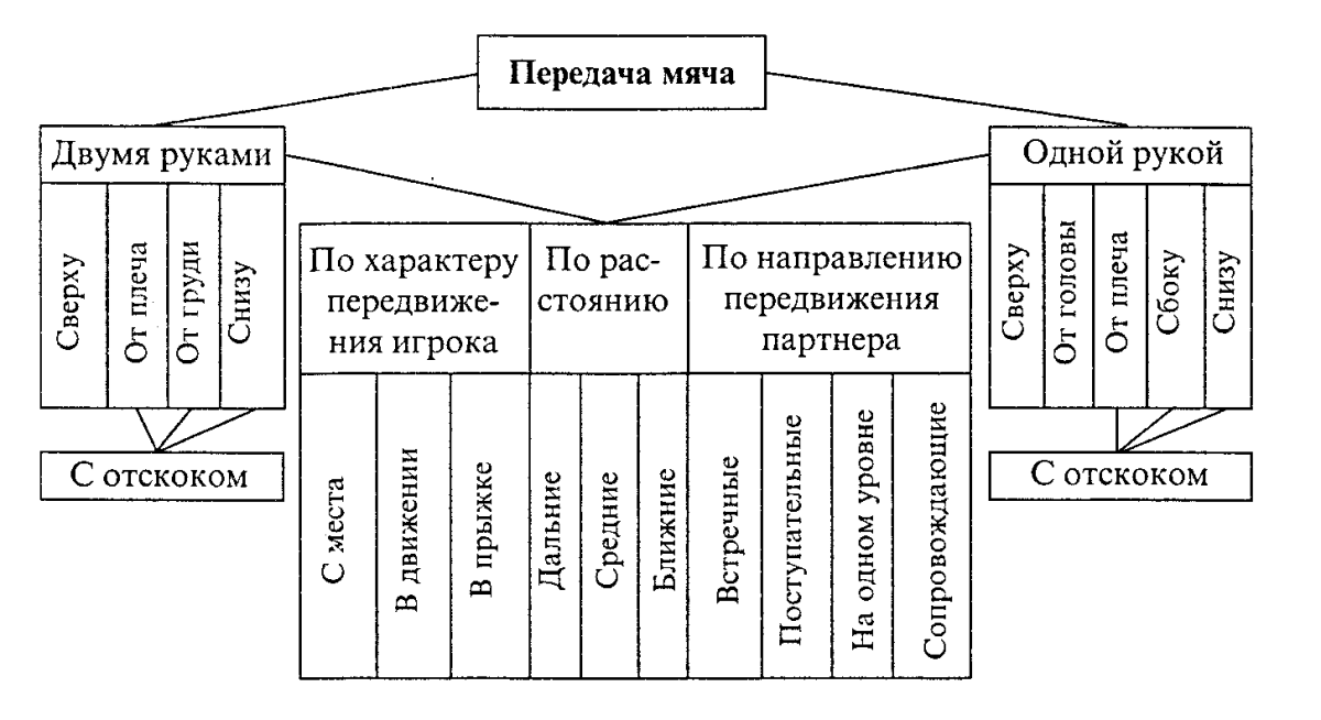 Классификация передачи мяча в баскетболе