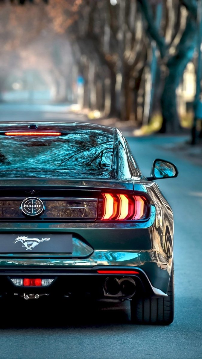 Ford Mustang Shelby 4k