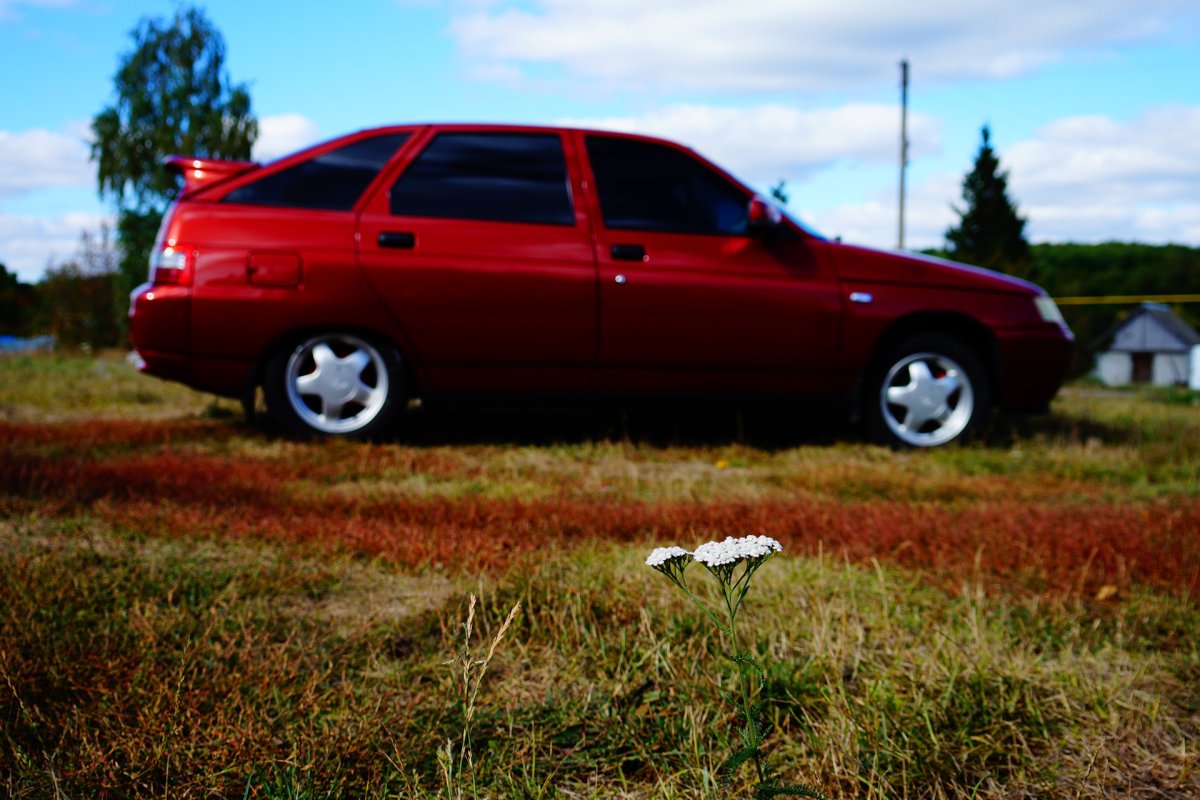 ВАЗ 2109 калифорнийский Мак