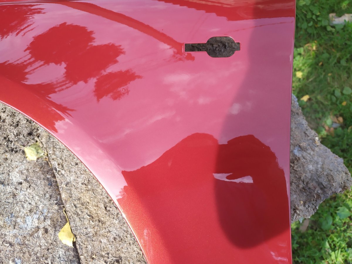 Нива цвет калифорнийский Мак