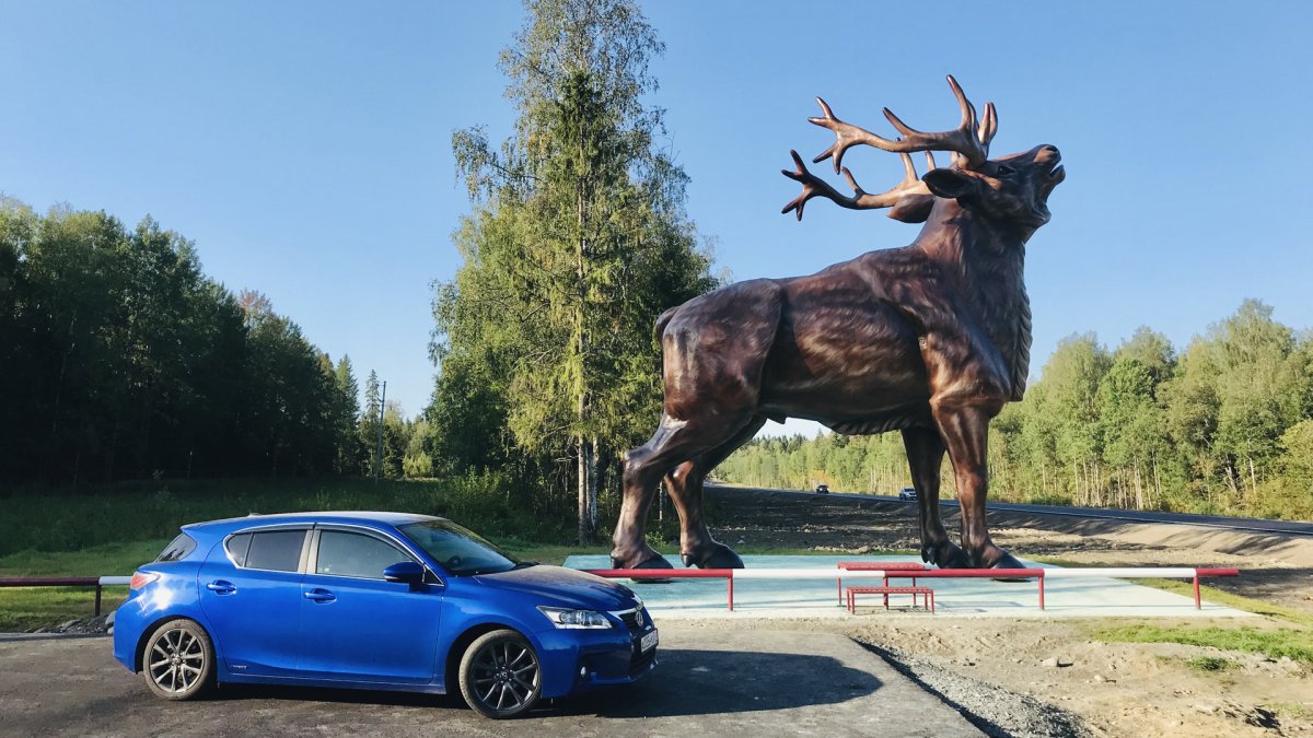 Памятник лосю в Карелии