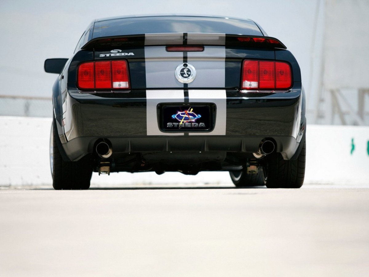 Ford Shelby gt500 сзади