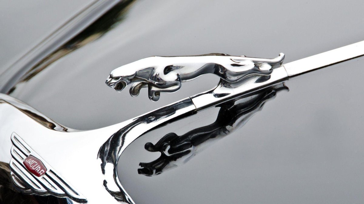 Jaguar auto logo
