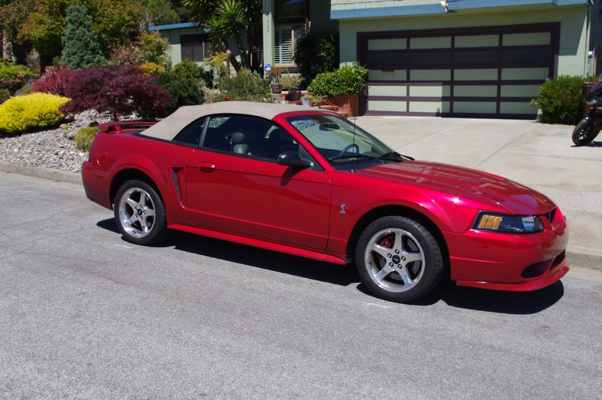 Ford Mustang SVT Cobra