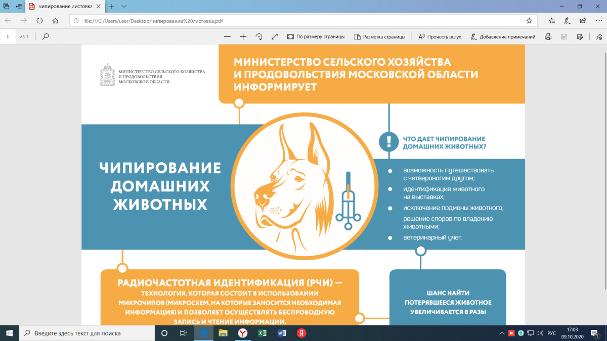 Чипирование собак в Моск
