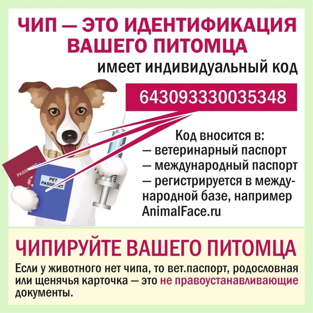 Чипирование собак для выезда за границу