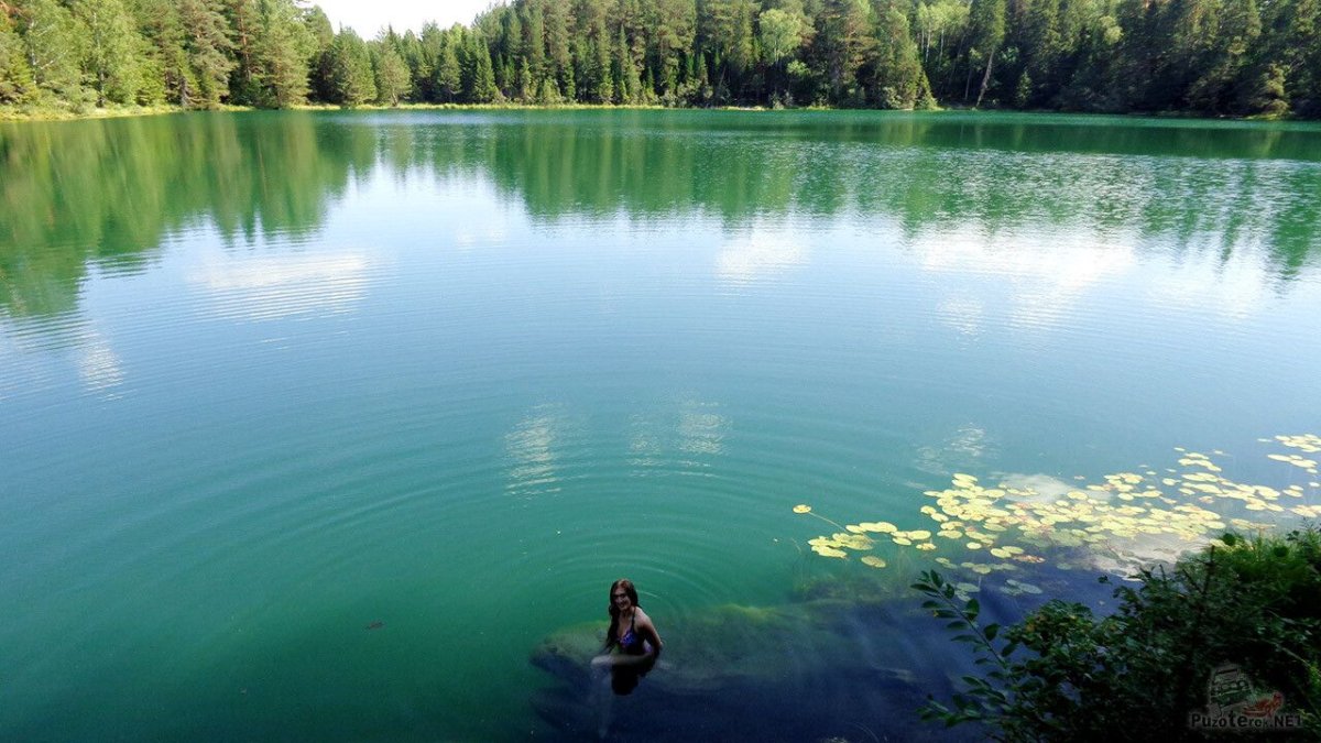 Озеро бездонное Солнечногорский район