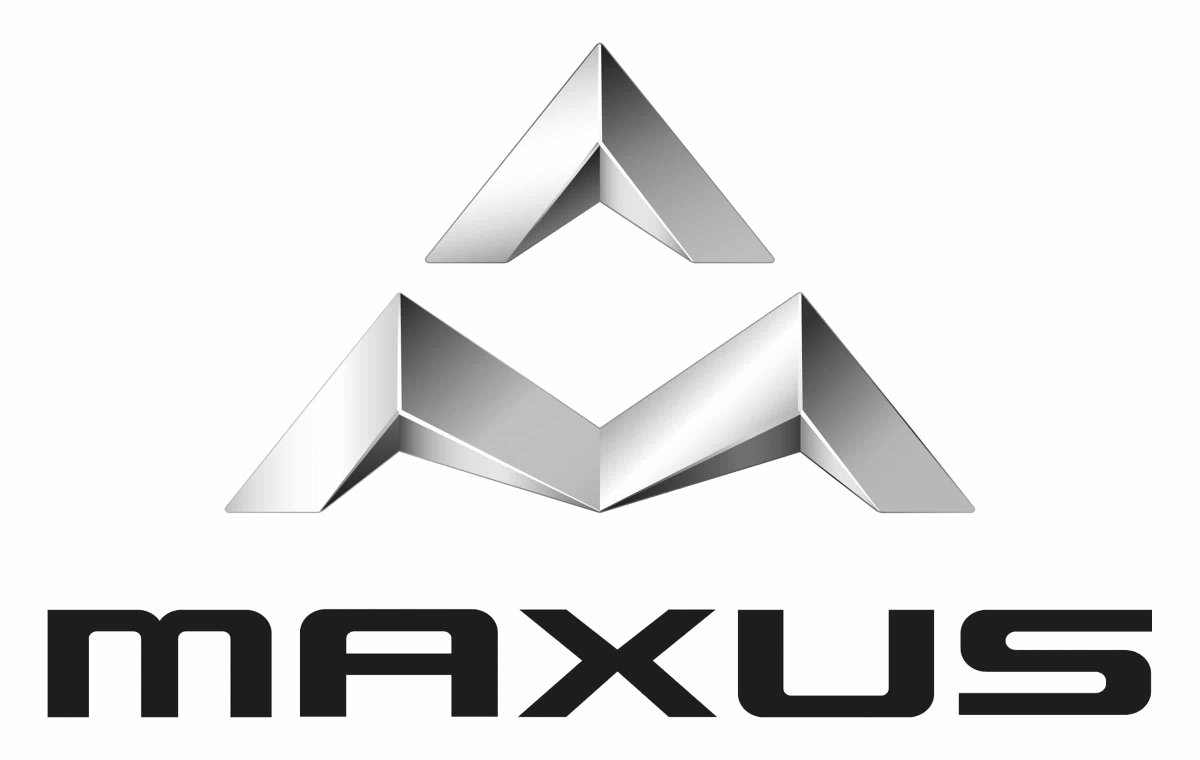 Логотип ЛДВ Максус