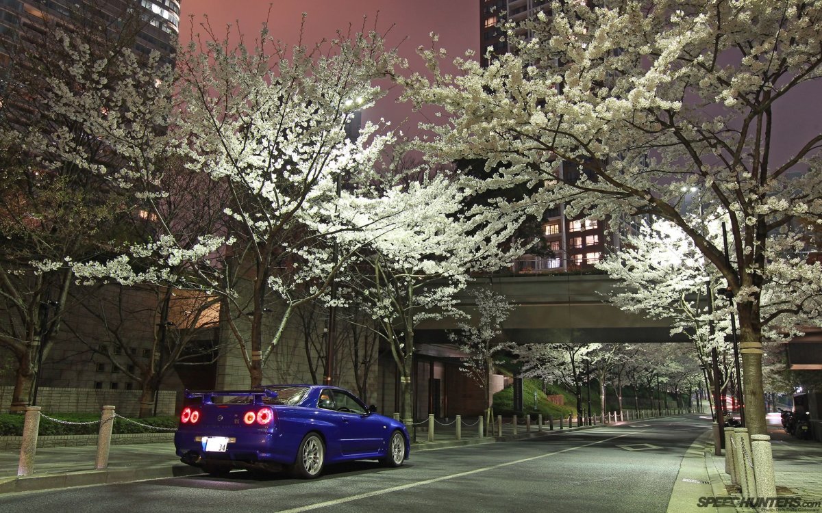 Nissan GTR Сакура