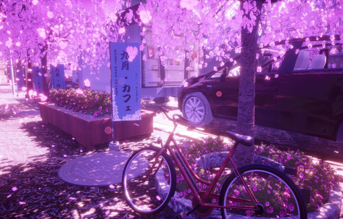 Велосипед под сакурой