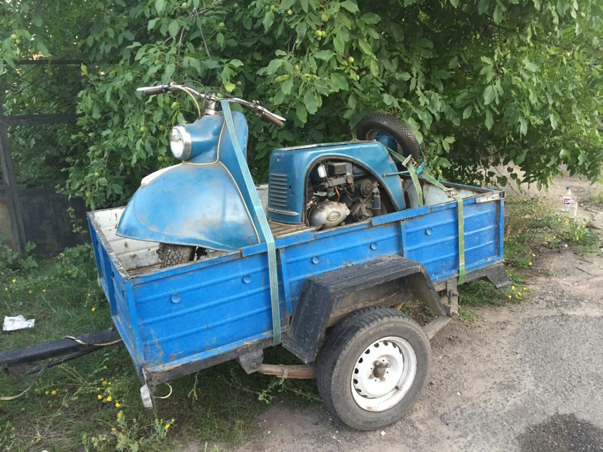 Муравей Тула 200