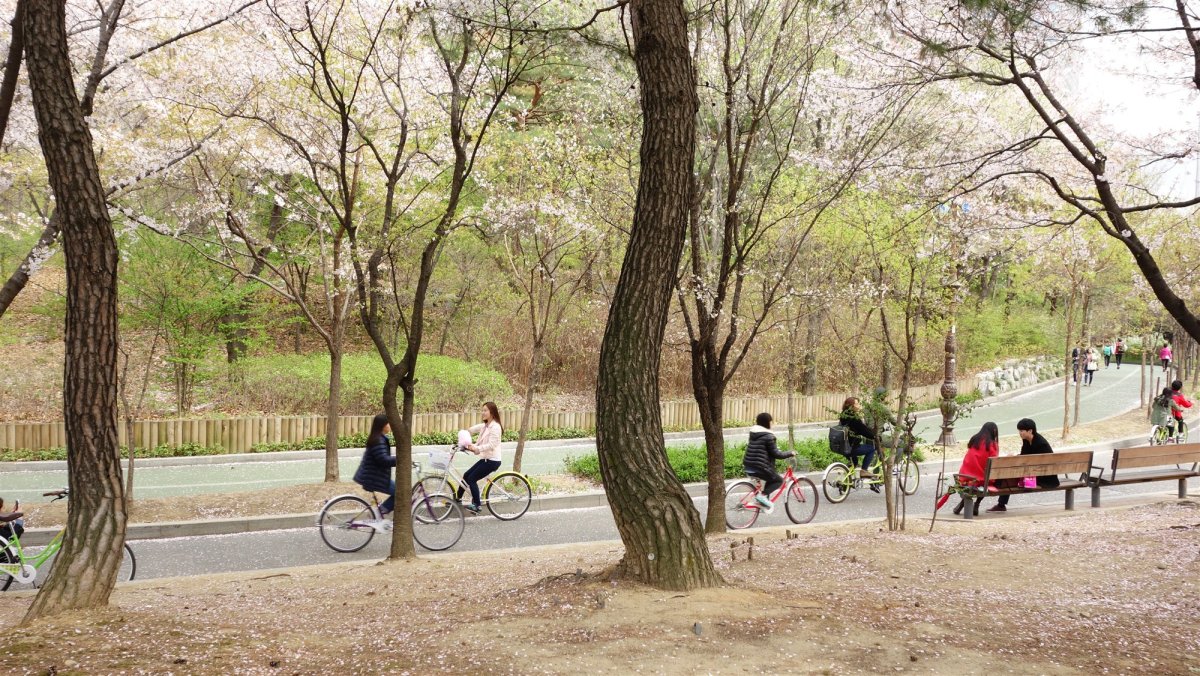 Парк Еидо в Сеуле