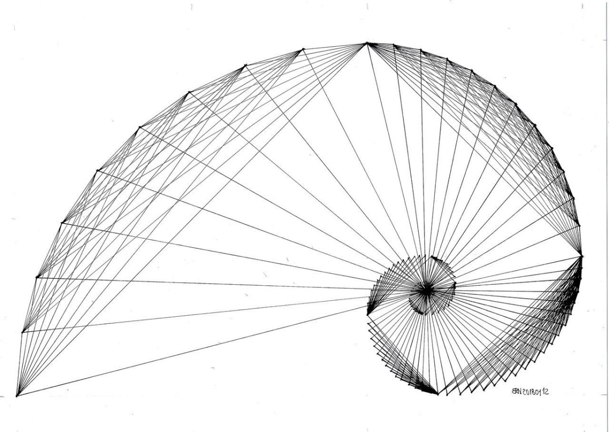 Геометрическая спираль Фибоначчи