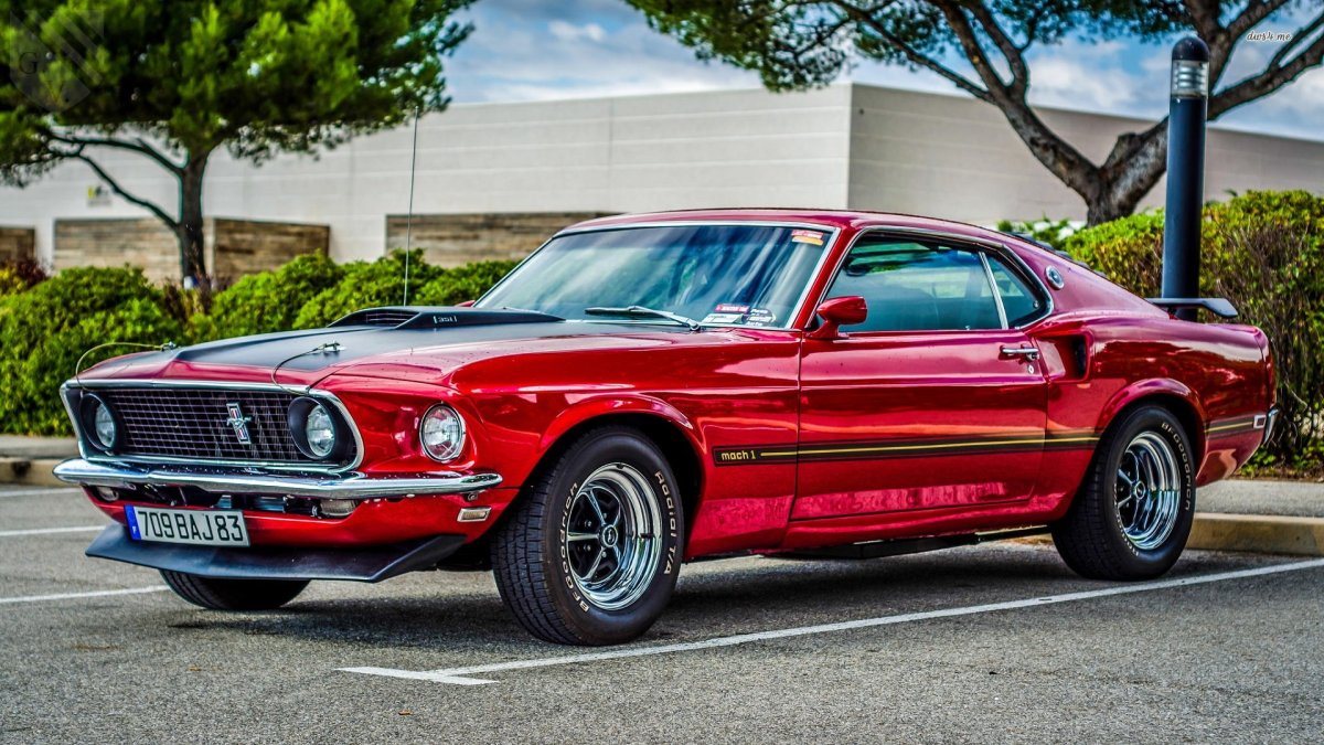 Ford Mustang Mach 1 1969