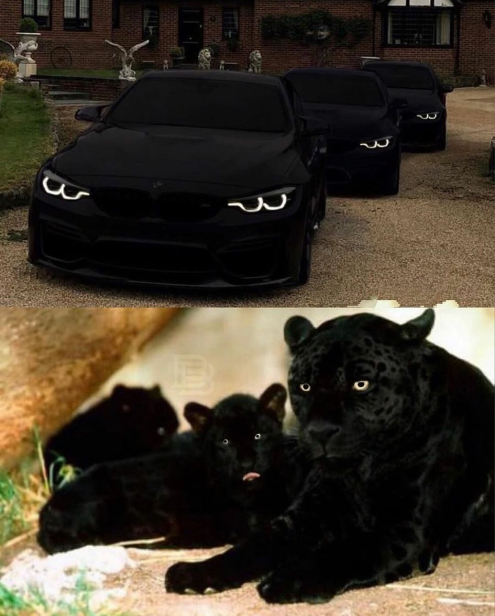 Машина пантера