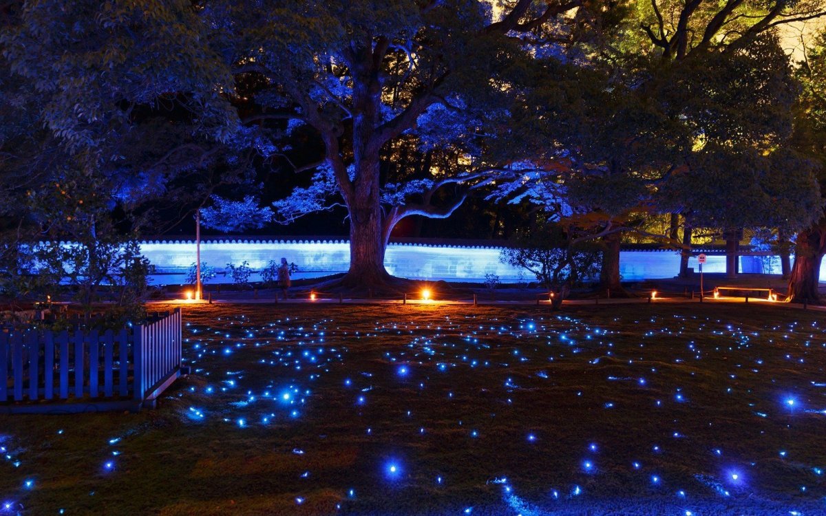 Ночные парк Киото