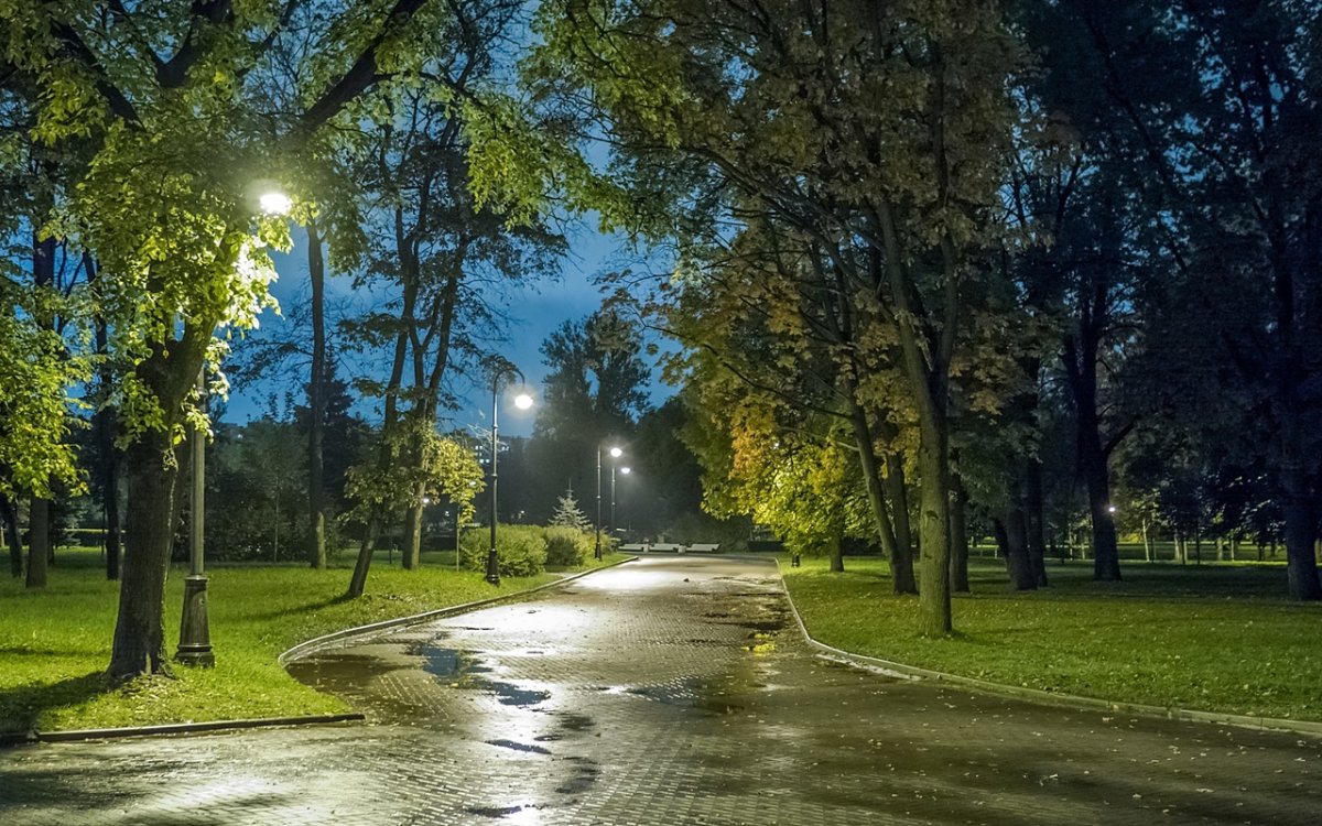 Улицы Санкт Петербурга парк