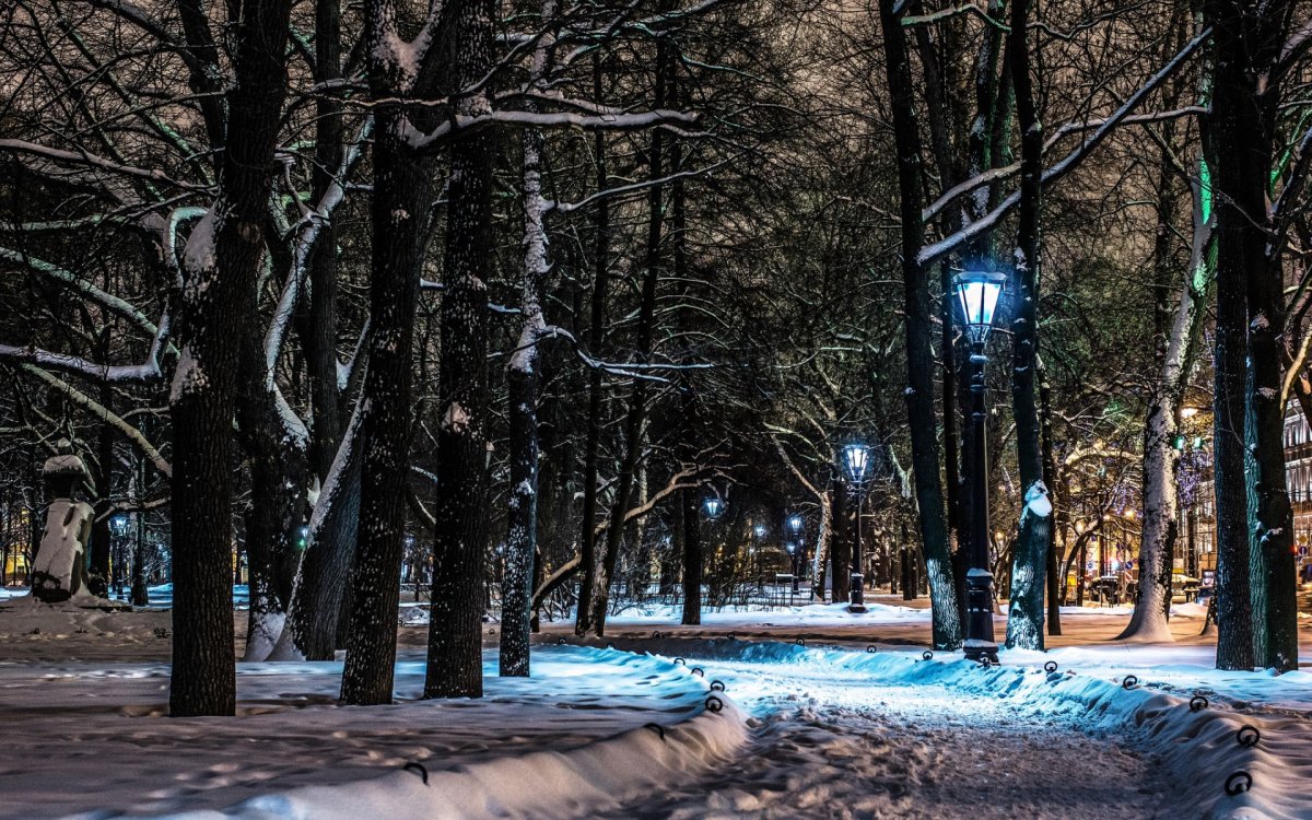 Парк Есенина Санкт-Петербург зимой
