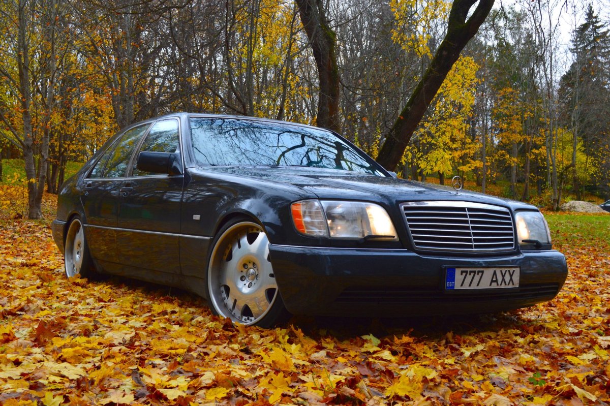 Mercedes Benz кабан w140