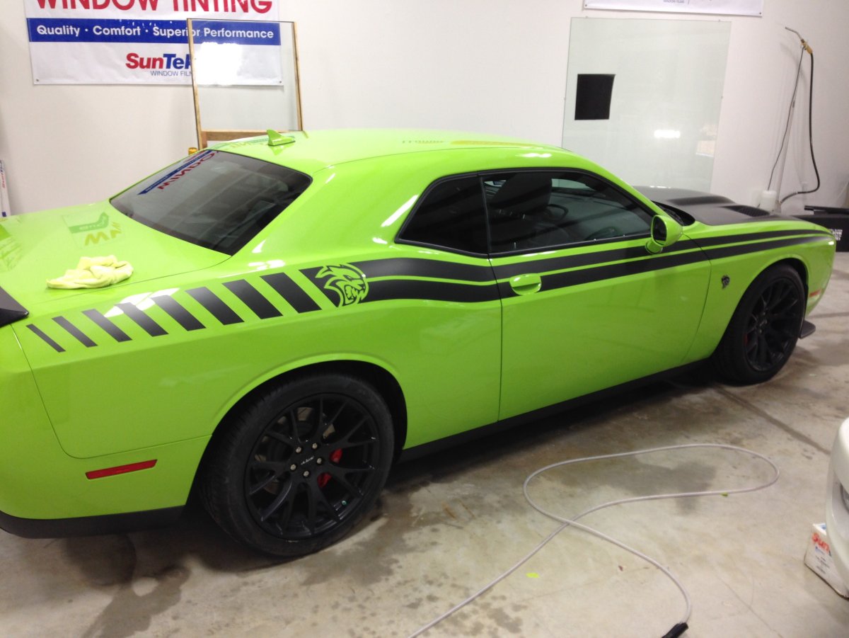 Dodge Challenger Vinyl
