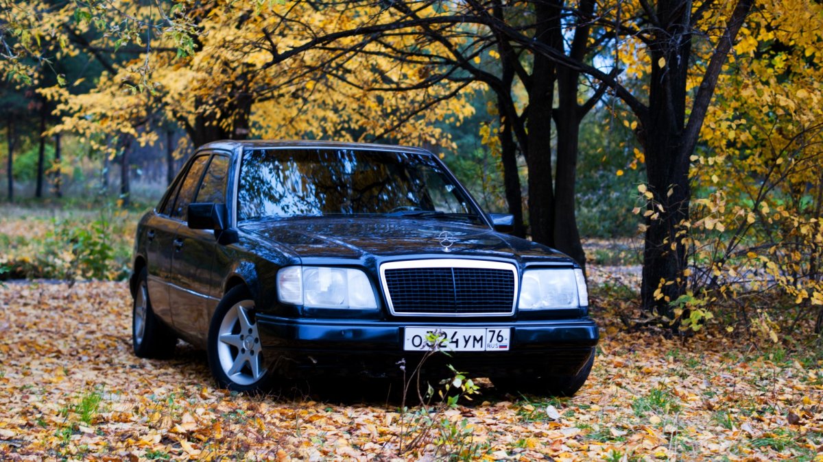 Mercedes Benz 124 осень