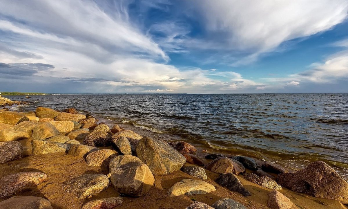 Берег Балтийского моря финский залив