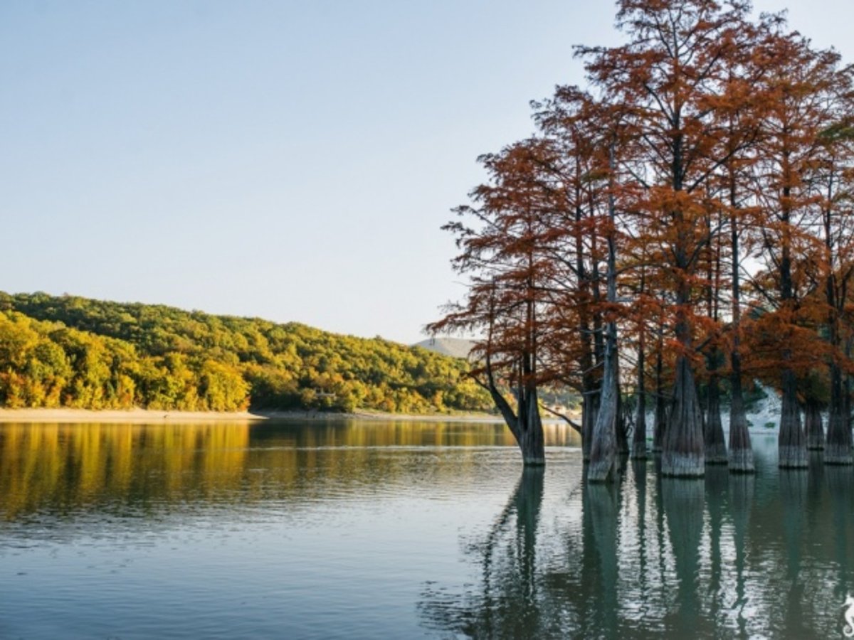 Сукко Краснодарский край озеро с кипарисами