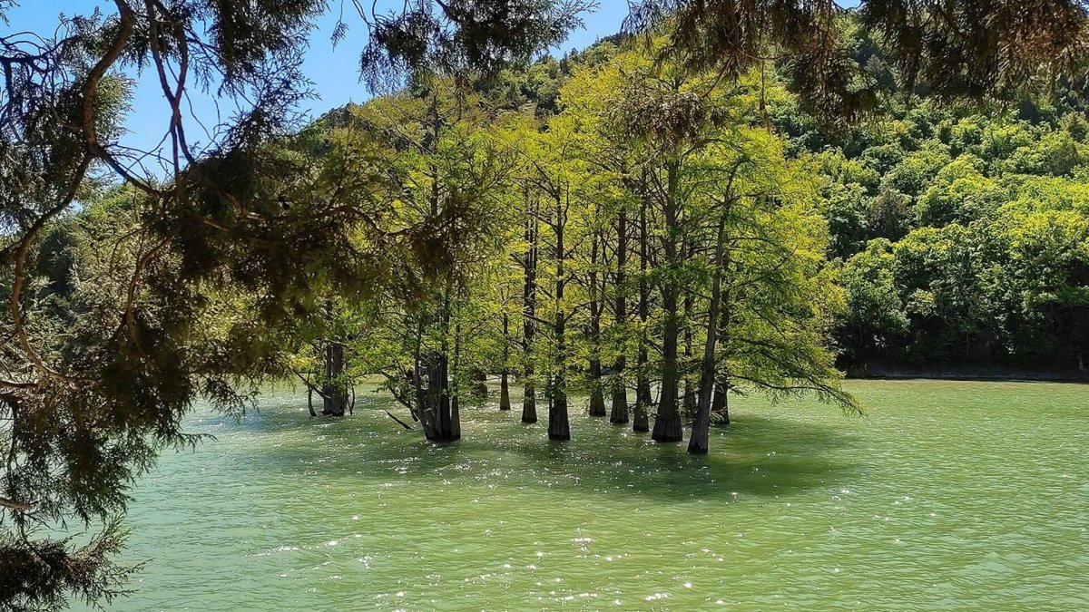 Кипарисовое озеро в Анапе 2022