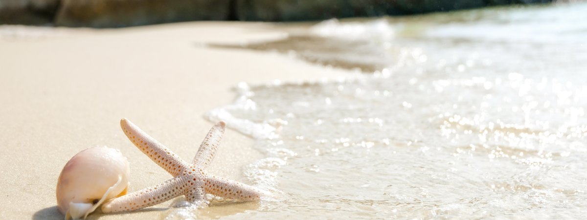 Морской песок на белом фоне
