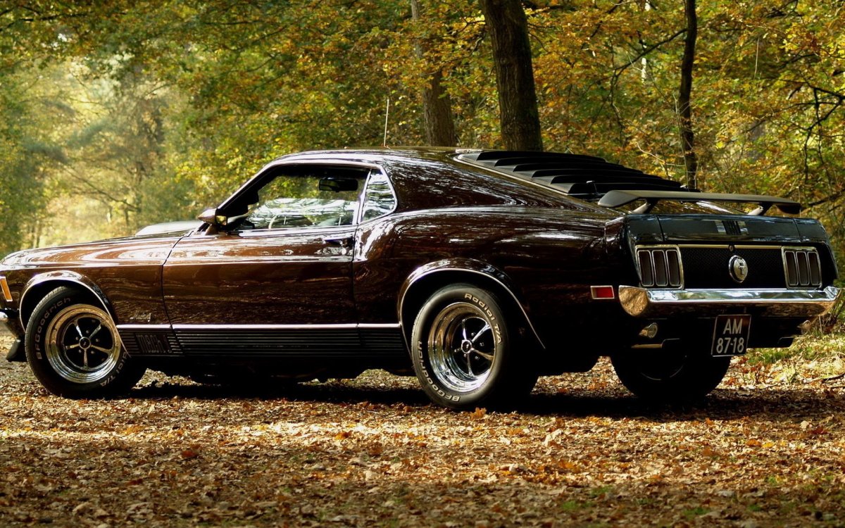 Форд Мустанг muscle car