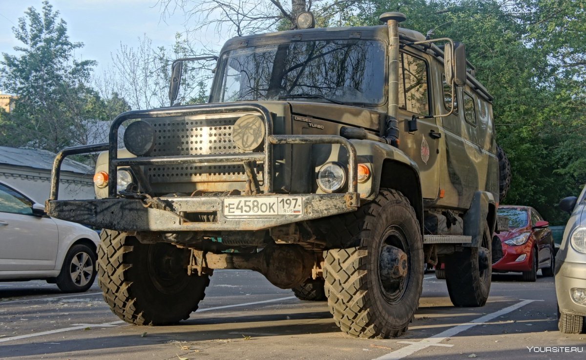 330811 Вепрь