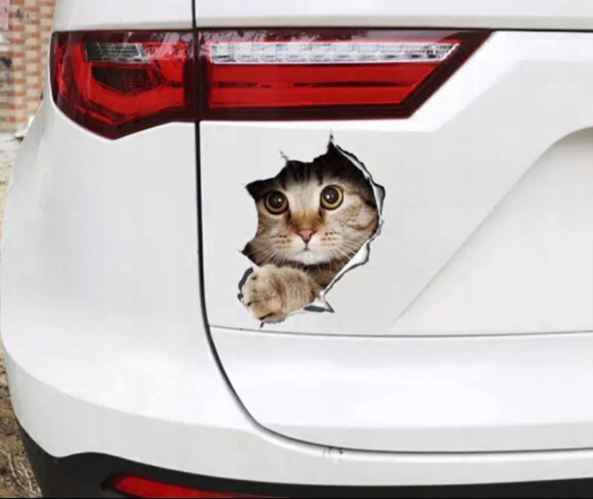 Наклейка на авто котик