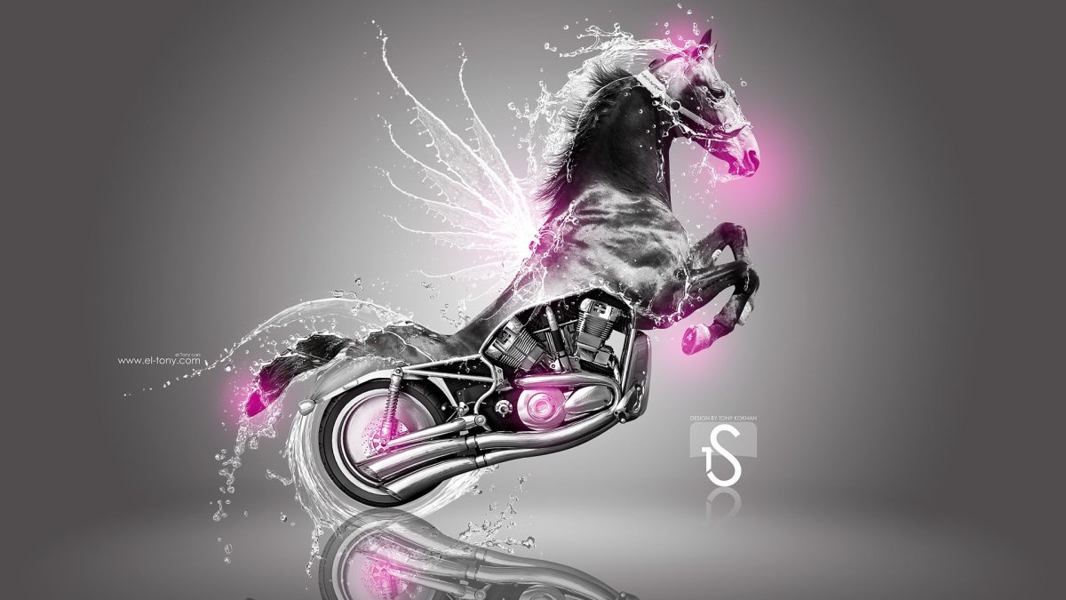 Лошадь и мотоцикл