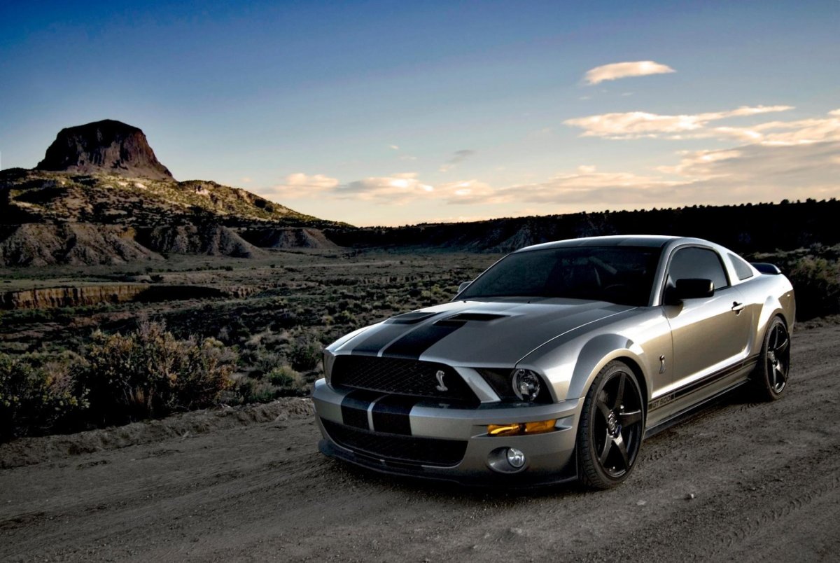 Серый Форд Мустанг gt500