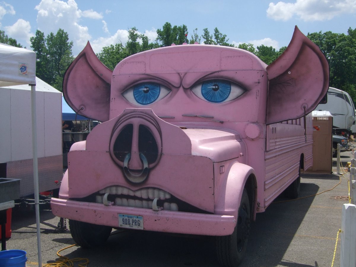 Свинья в машине