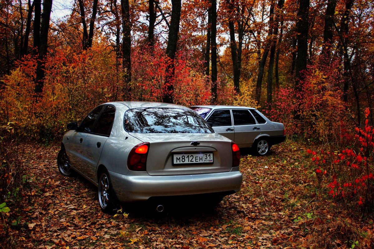 Шевроле Ланос в лесу