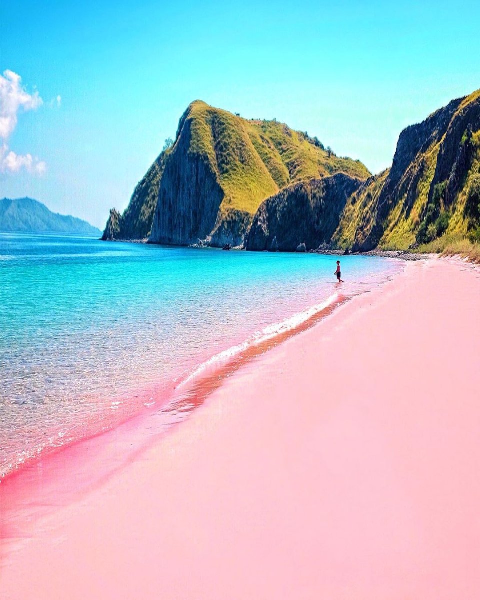 Комодо Индонезия розовый пляж