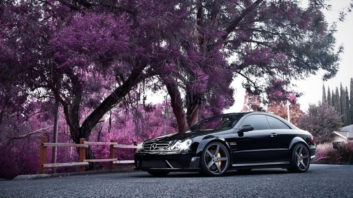 Mercedes Benz AMG