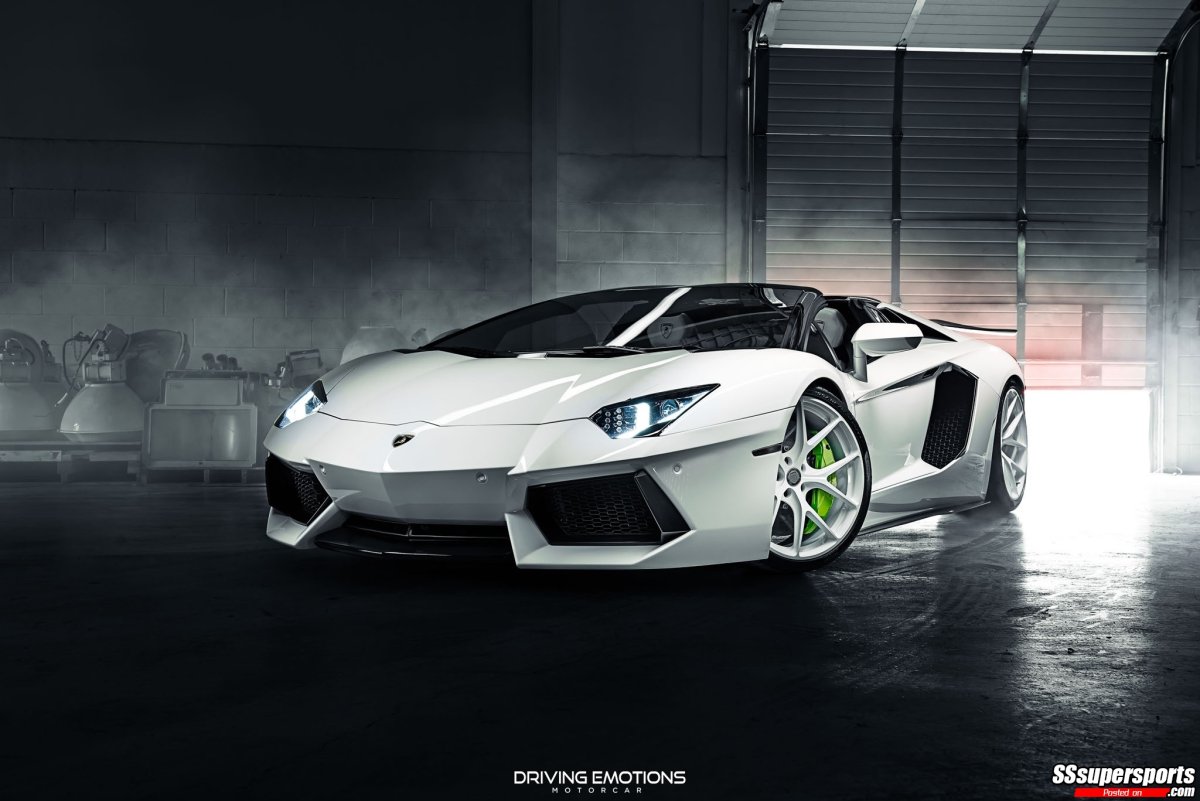 White Lamborghini 3