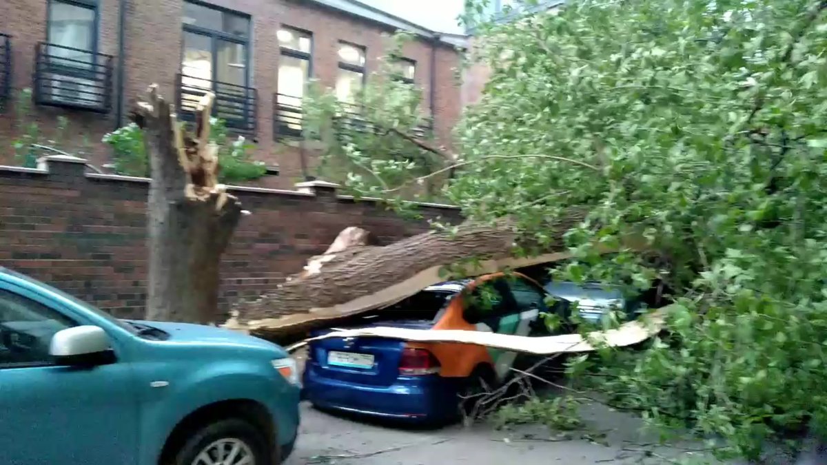 Дерево упало на машину в Москве на Шоссейной