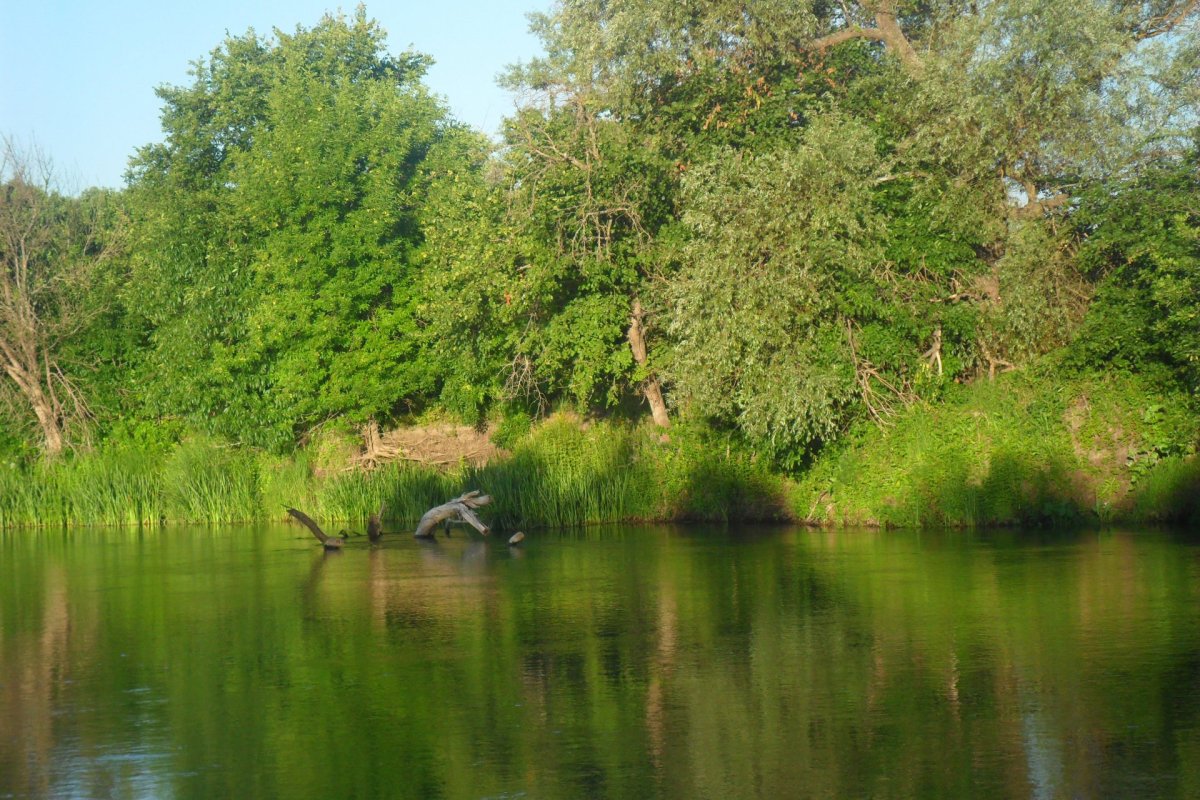 Река Хопер Борисоглебск